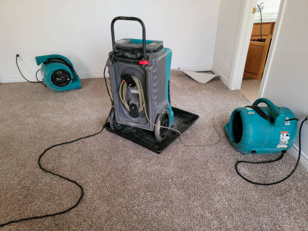 Best Fire Damage Restoration  in Sellersville, PA