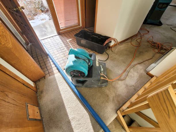 Best Water damage cleanup near me  in Sellersville, PA