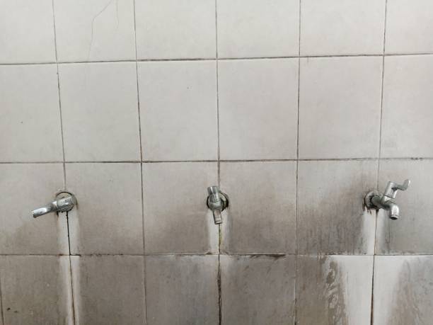 Best Flood damage cleanup  in Sellersville, PA
